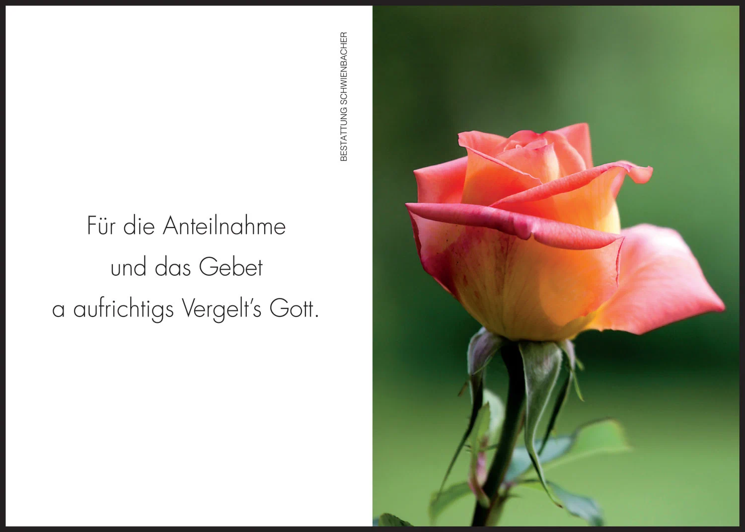 Sterbebild: Annerose Wwe. Sulzer geb. Tillig