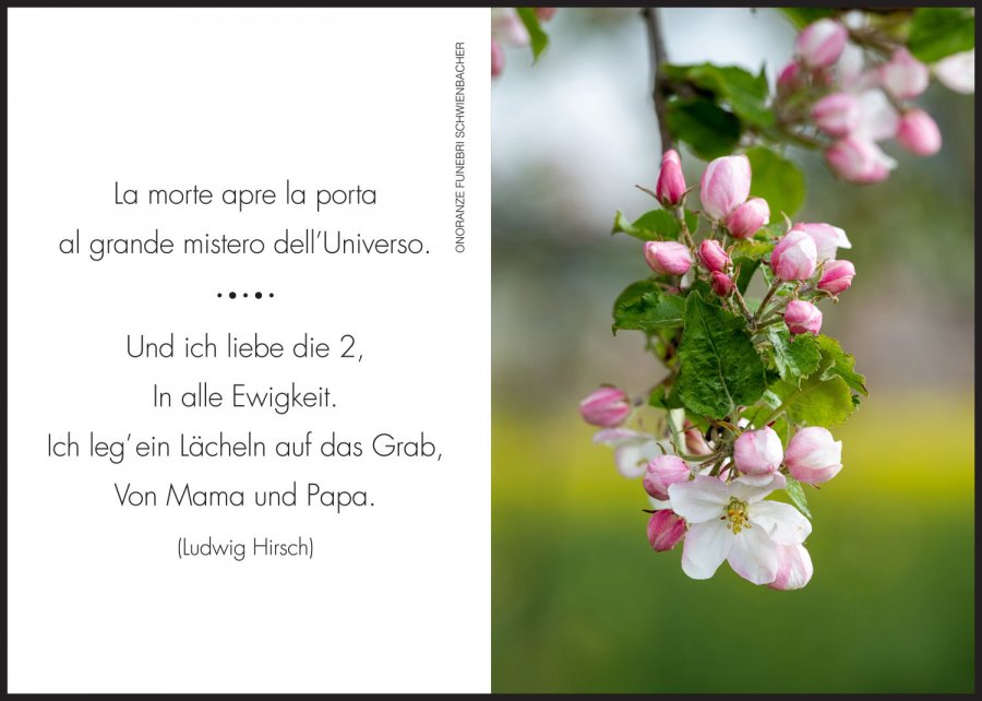 Sterbebild: Antonio Endrizzi