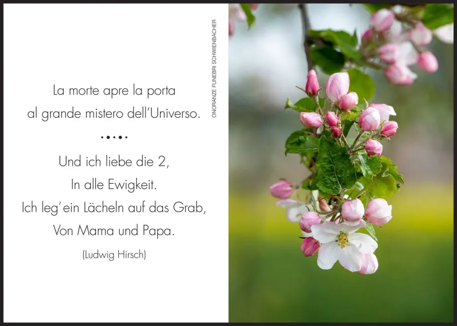 Sterbebild: Antonio Endrizzi