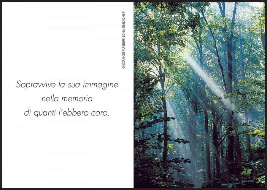 Sterbebild: Giancarmine Tollis