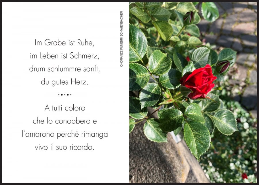 Sterbebild: Umberto Cassin