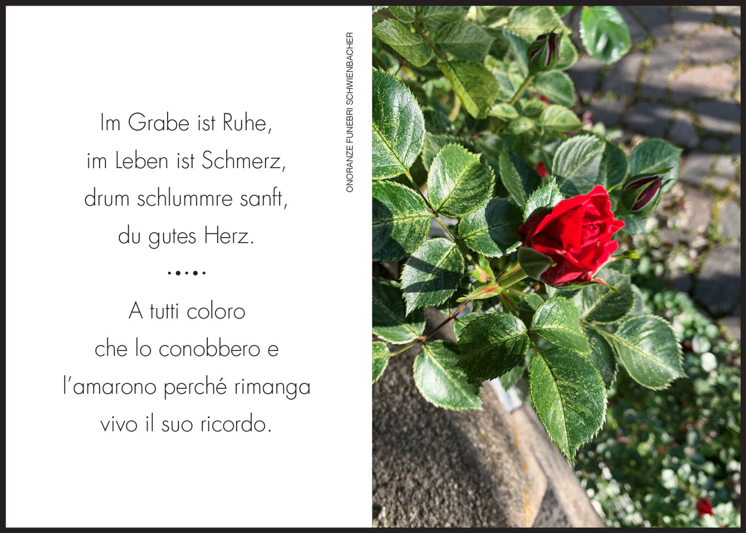 Sterbebild: Umberto Cassin