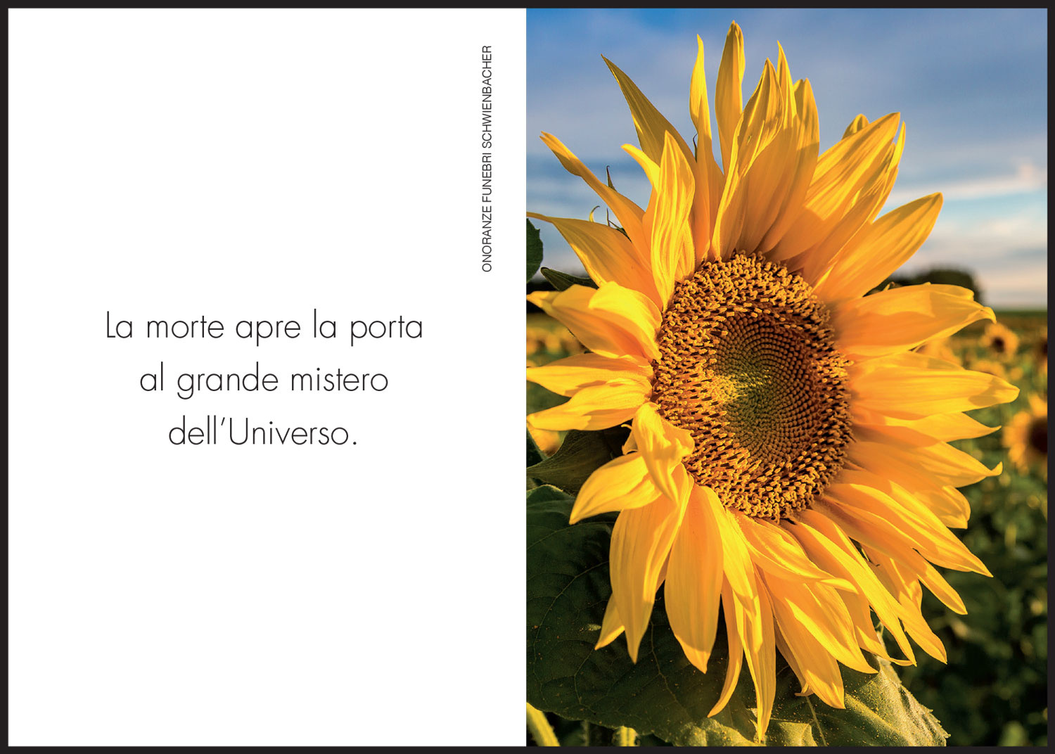 Sterbebild: Luciana Ferronato ved. Bartola