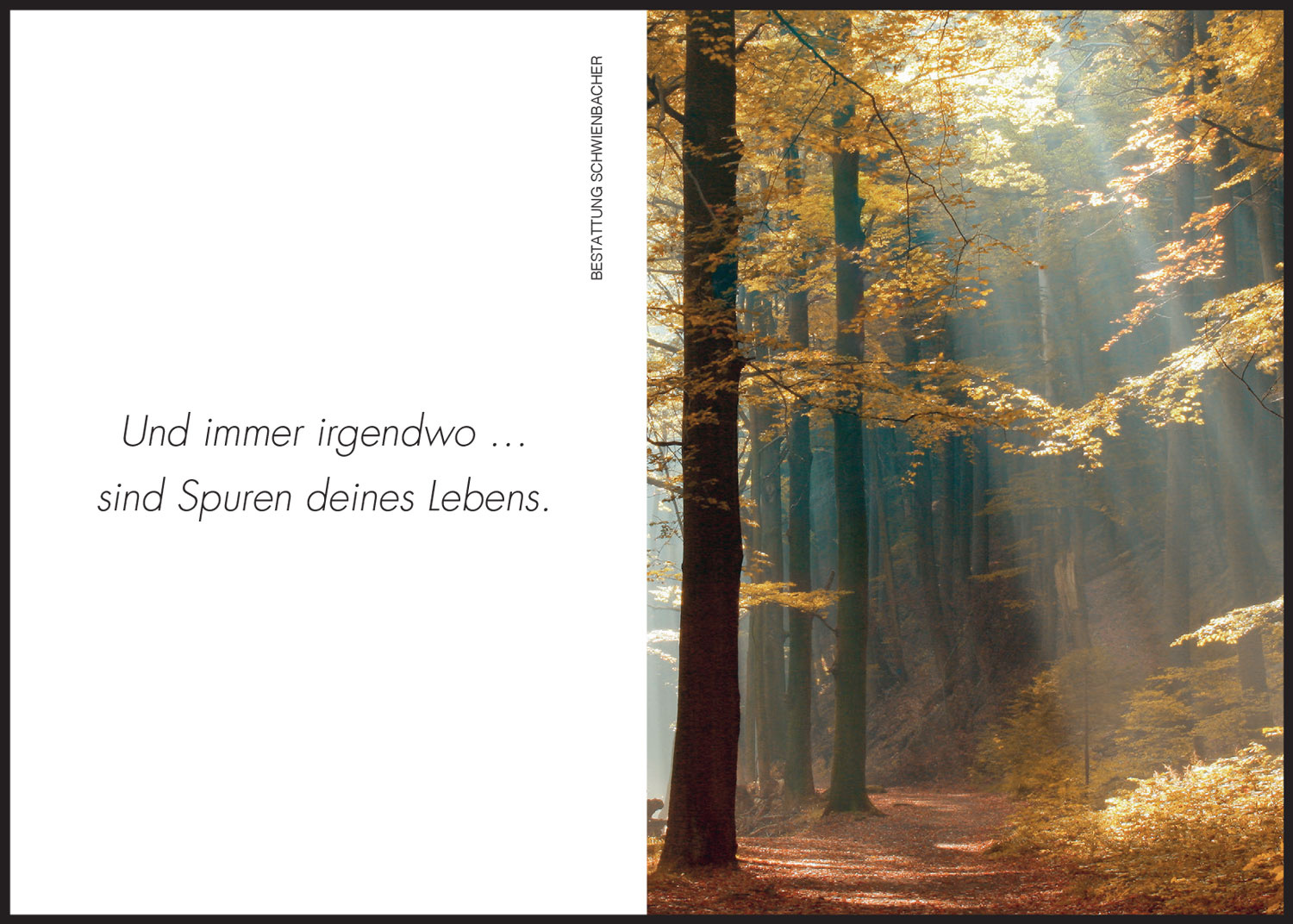 Sterbebild: Anna Maria Wwe. Prinoth geb. Braun