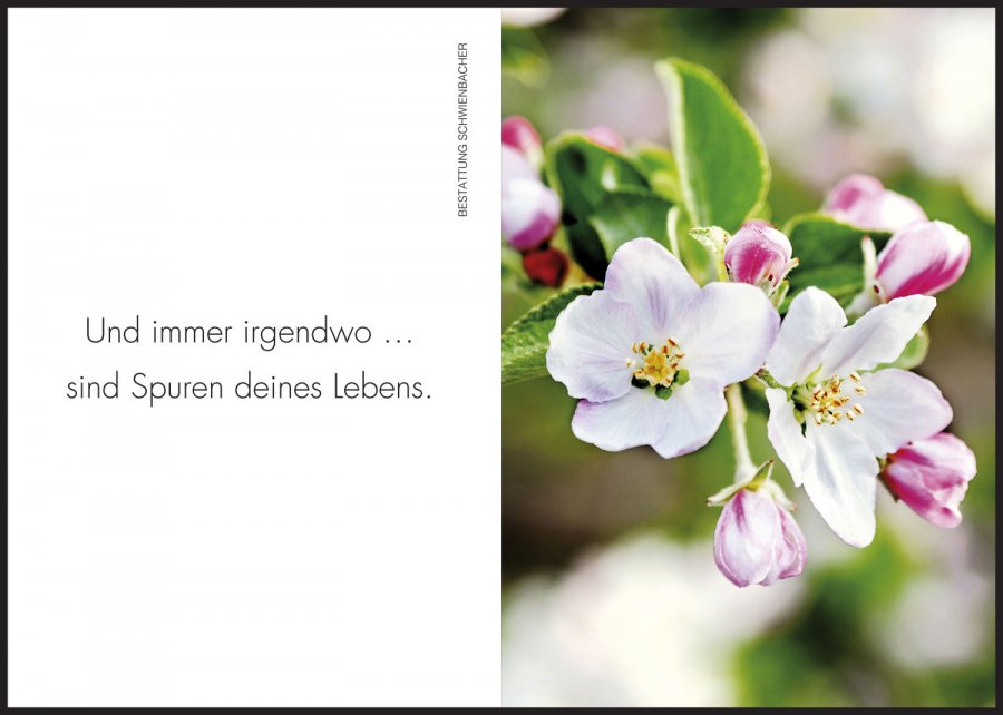 Sterbebild: Robert Preganella