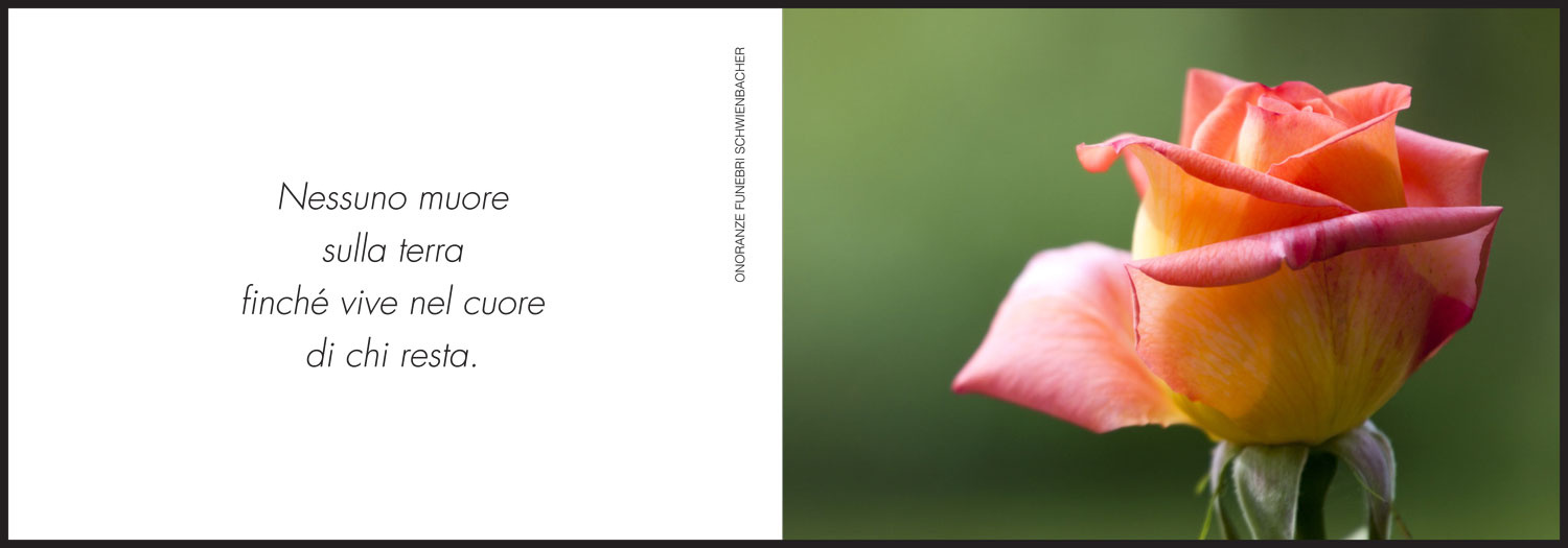 Sterbebild: Anna Wwe. Bertagnolli geb. Trettel