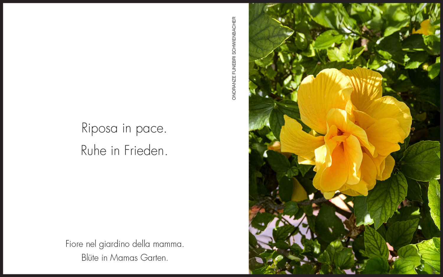 Sterbebild: Onorina Marta Wwe. Pirri geb. Dalla Porta