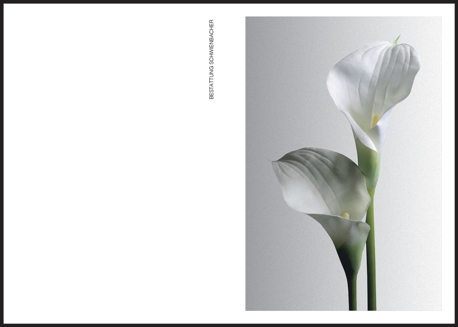 Sterbebild: Marianne Auer geb. Moser