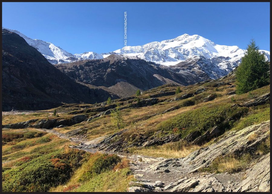 Sterbebild: Erich Clara