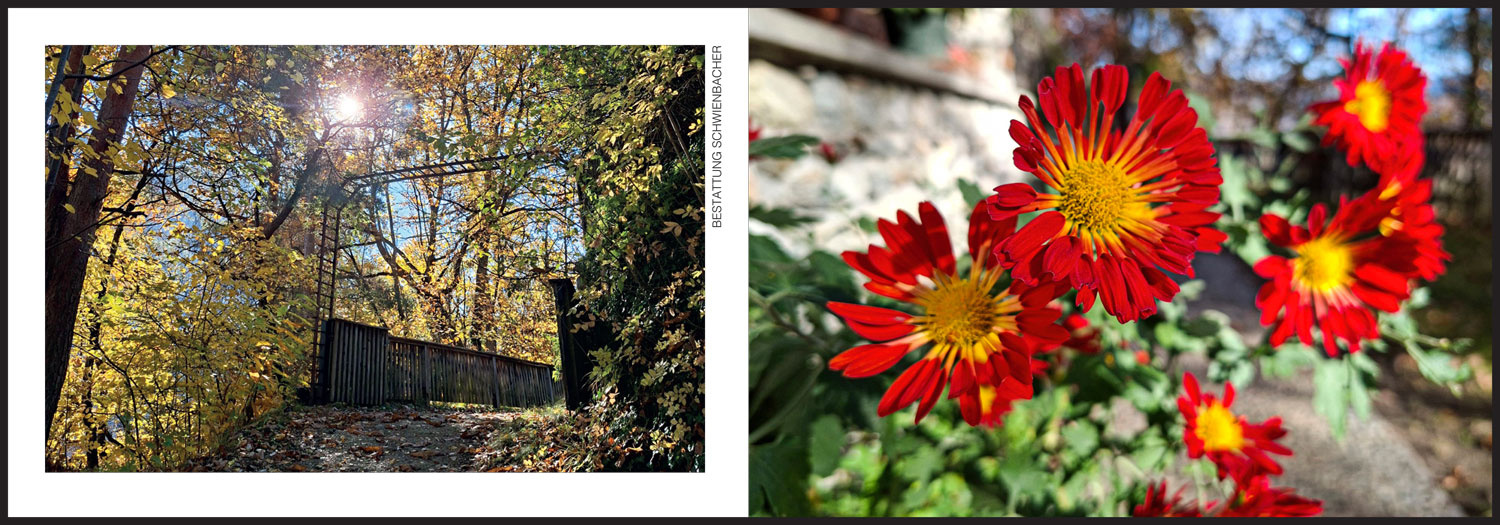 Sterbebild: Ida Wwe. Renner geb. Geiser