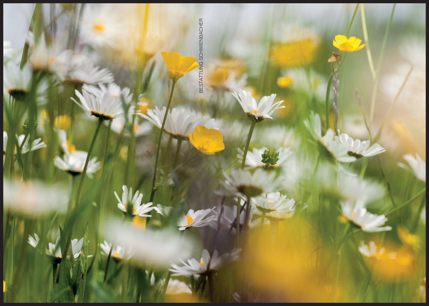 Sterbebild: Herta Erlacher