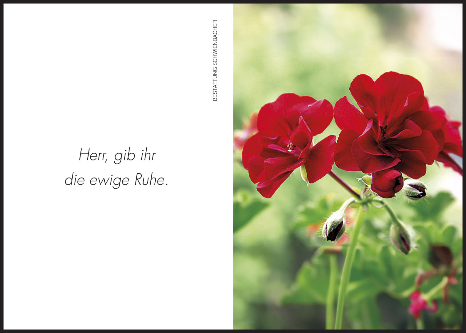 Sterbebild: Maria Wwe. Bernhart geb. Hueber