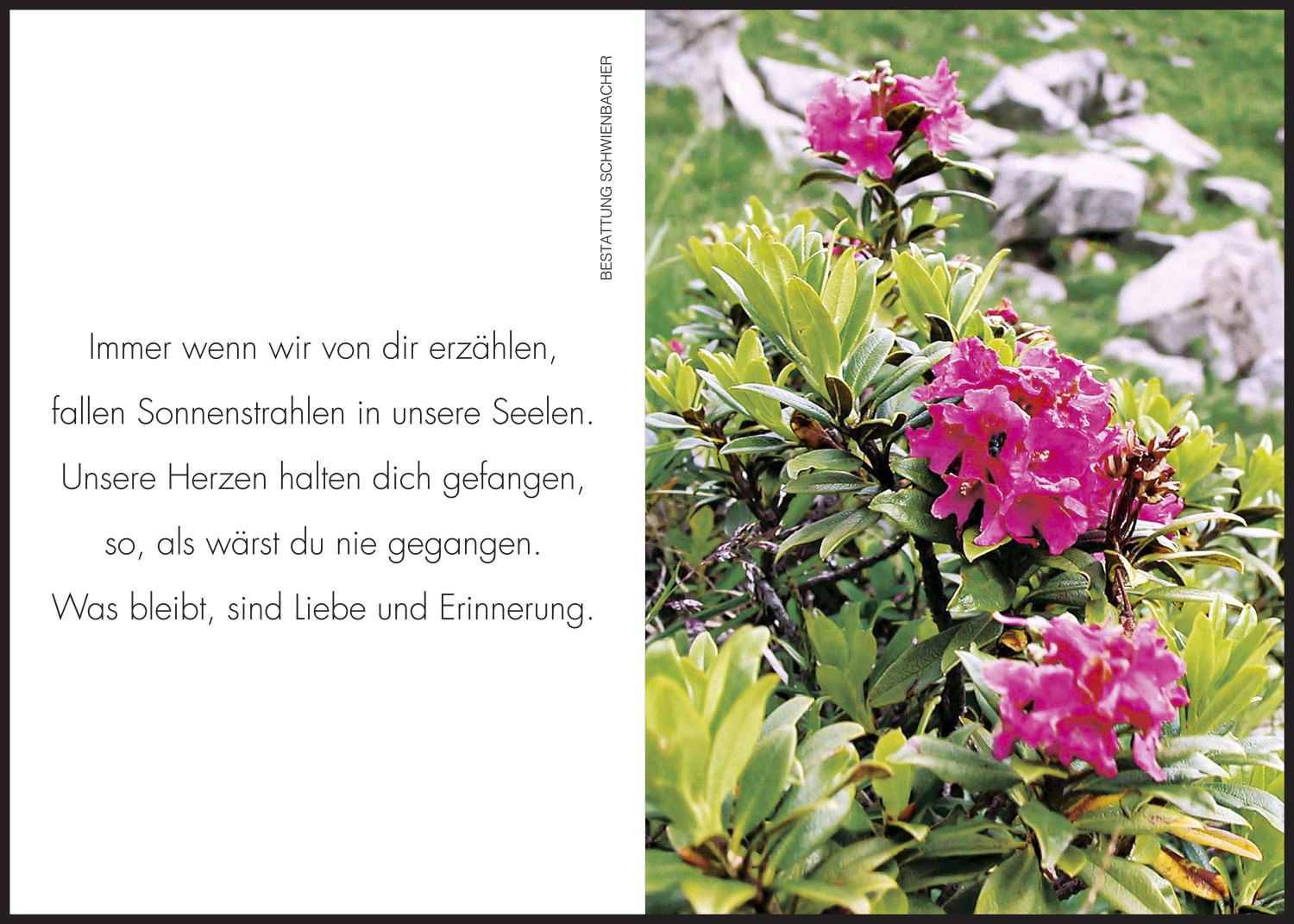 Sterbebild: Benedikt Baumgartner