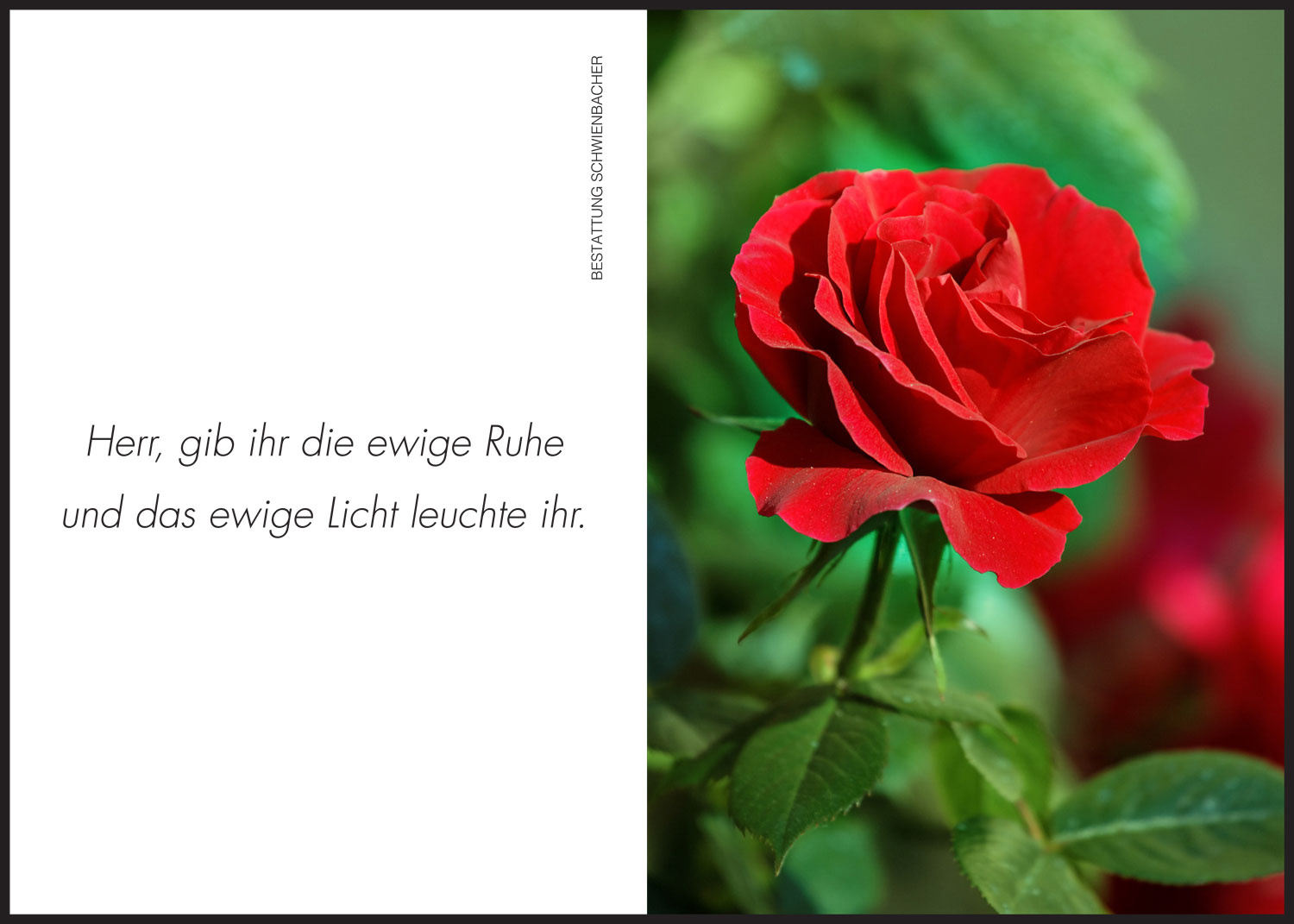 Sterbebild: Edith Schwarzer geb. Lochmann