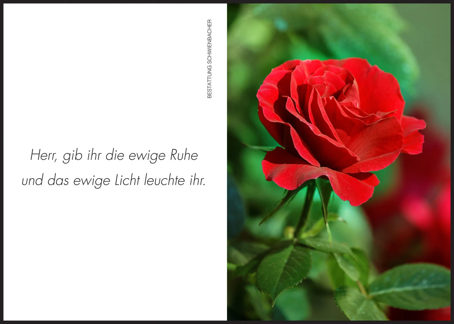 Sterbebild: Edith Schwarzer geb. Lochmann