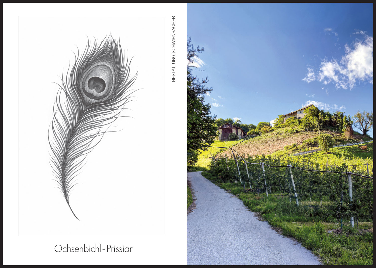 Sterbebild: Josef Tribus