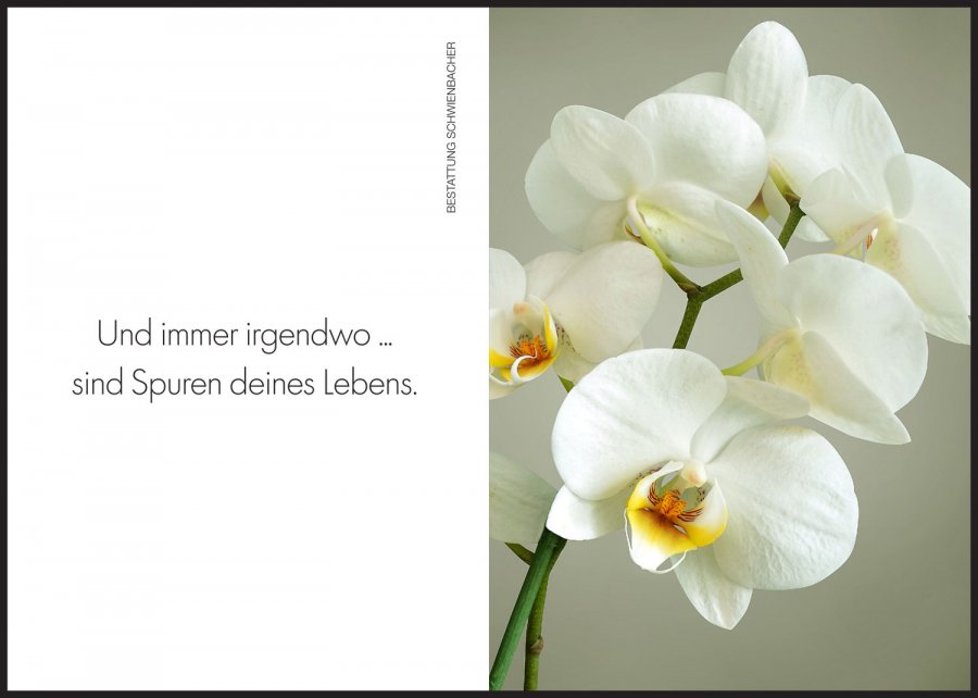 Sterbebild: Stefania Wwe. Nagler geb. Tauber