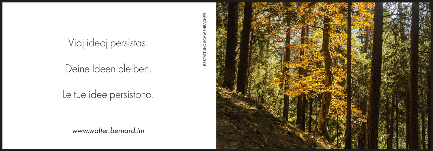 Sterbebild: Ing. Walter Bernard