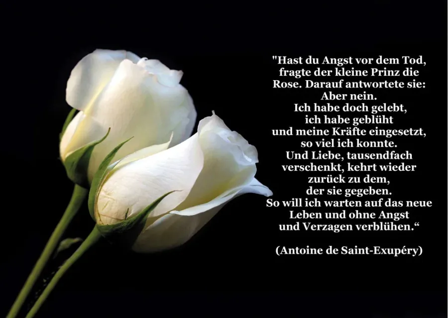 Parte: Yvonne Christa Katharina Skudelny geb. Toussaint