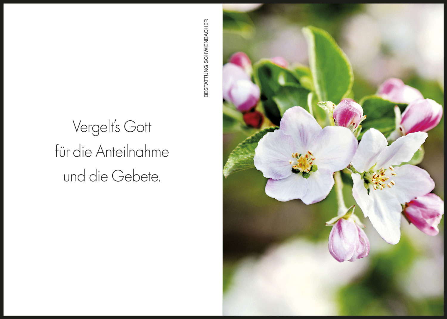 Sterbebild: Luis Platter