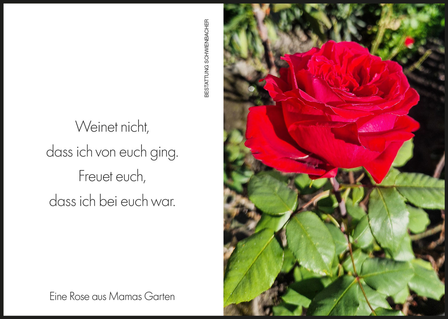 Sterbebild: Rosa Wwe. Rauter geb. Ladurner