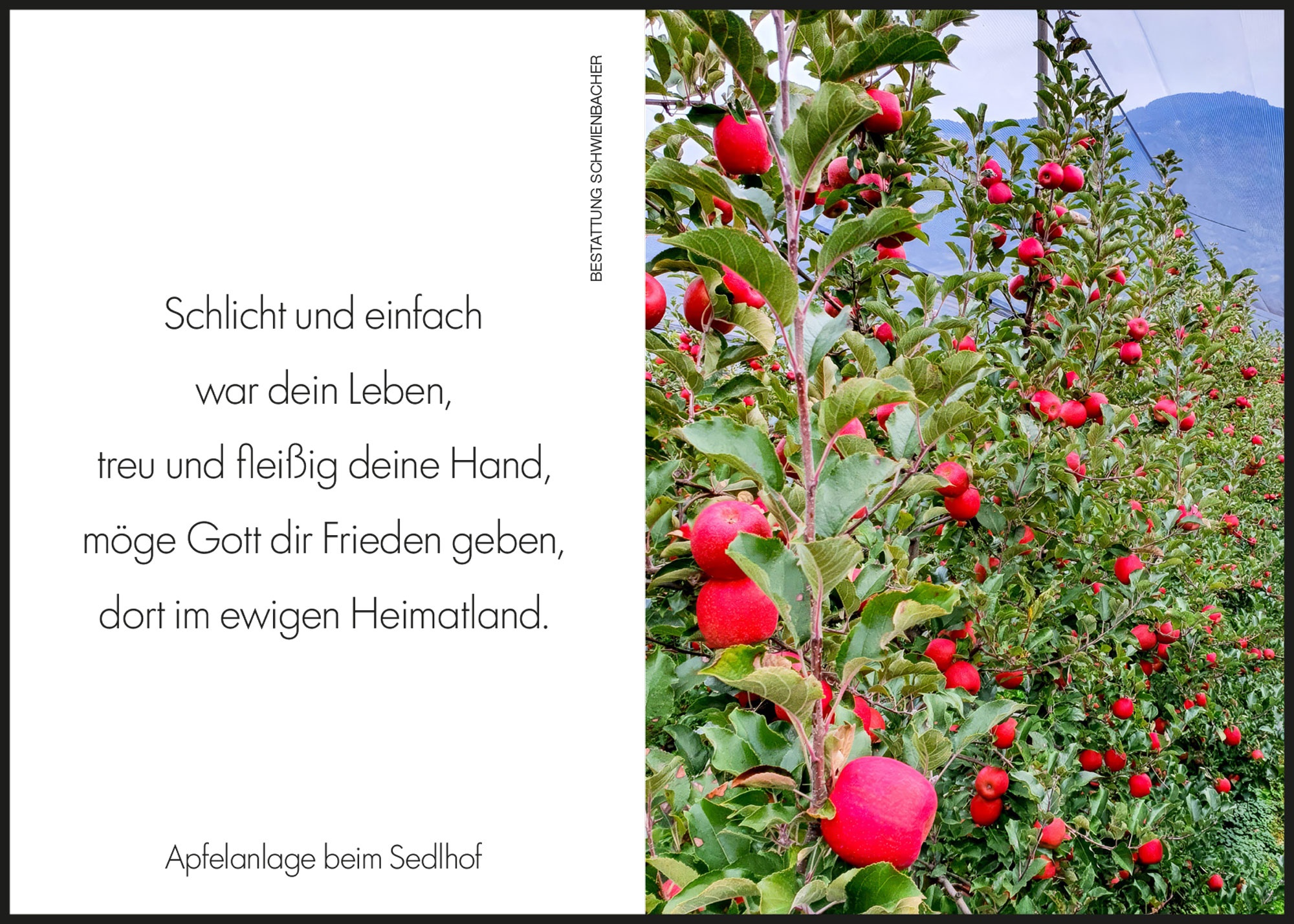 Sterbebild: Karl Josef Karnutsch