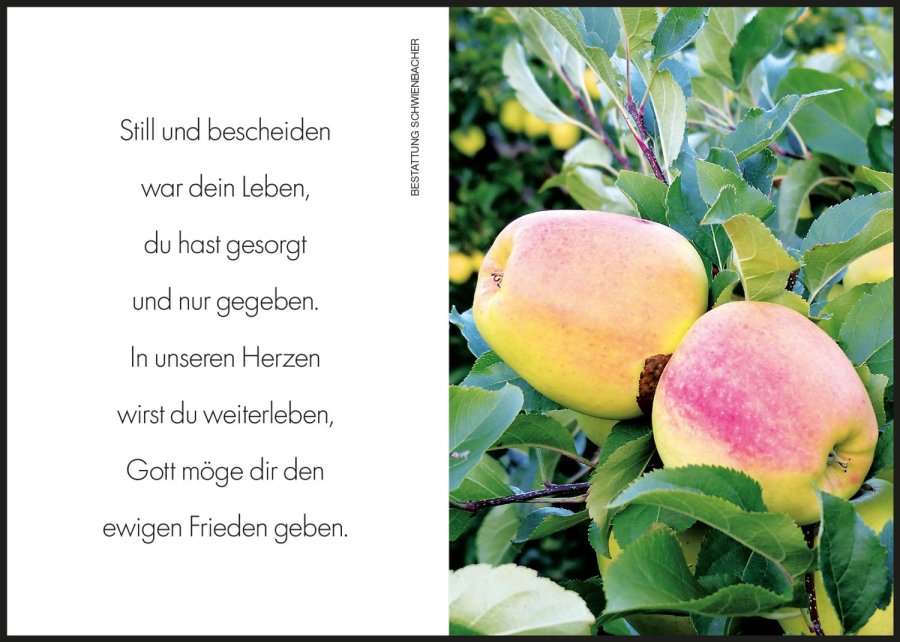 Sterbebild: Franz Haller